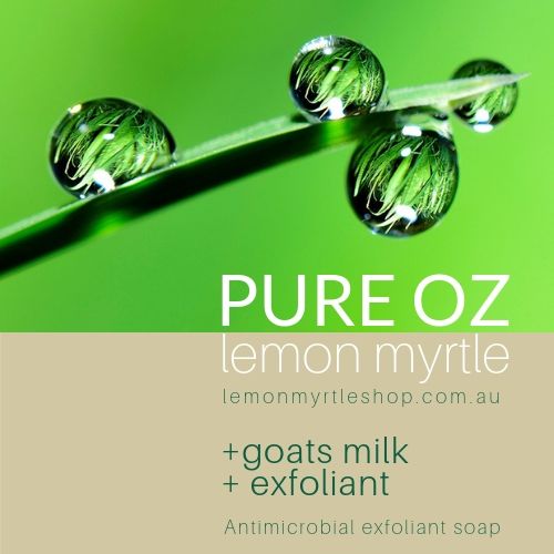 Organic Lemon Myrtle Goats Milk Exfoliating Soap