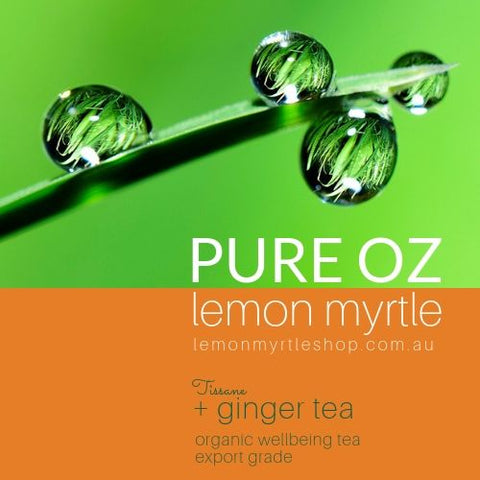 Lemon Myrtle + Ginger Tissane Certified Organic Tea