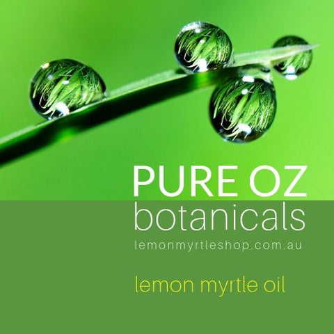 Lemon Myrtle Oil 100% Pure Organic (10mls)